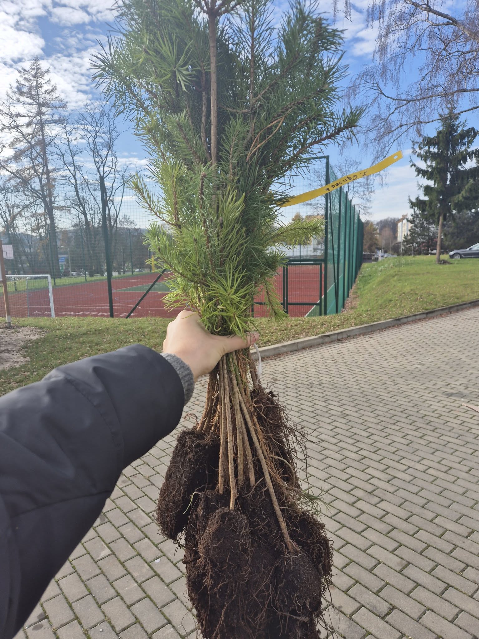 583137011_1236052051894559_2028736499086432954_n