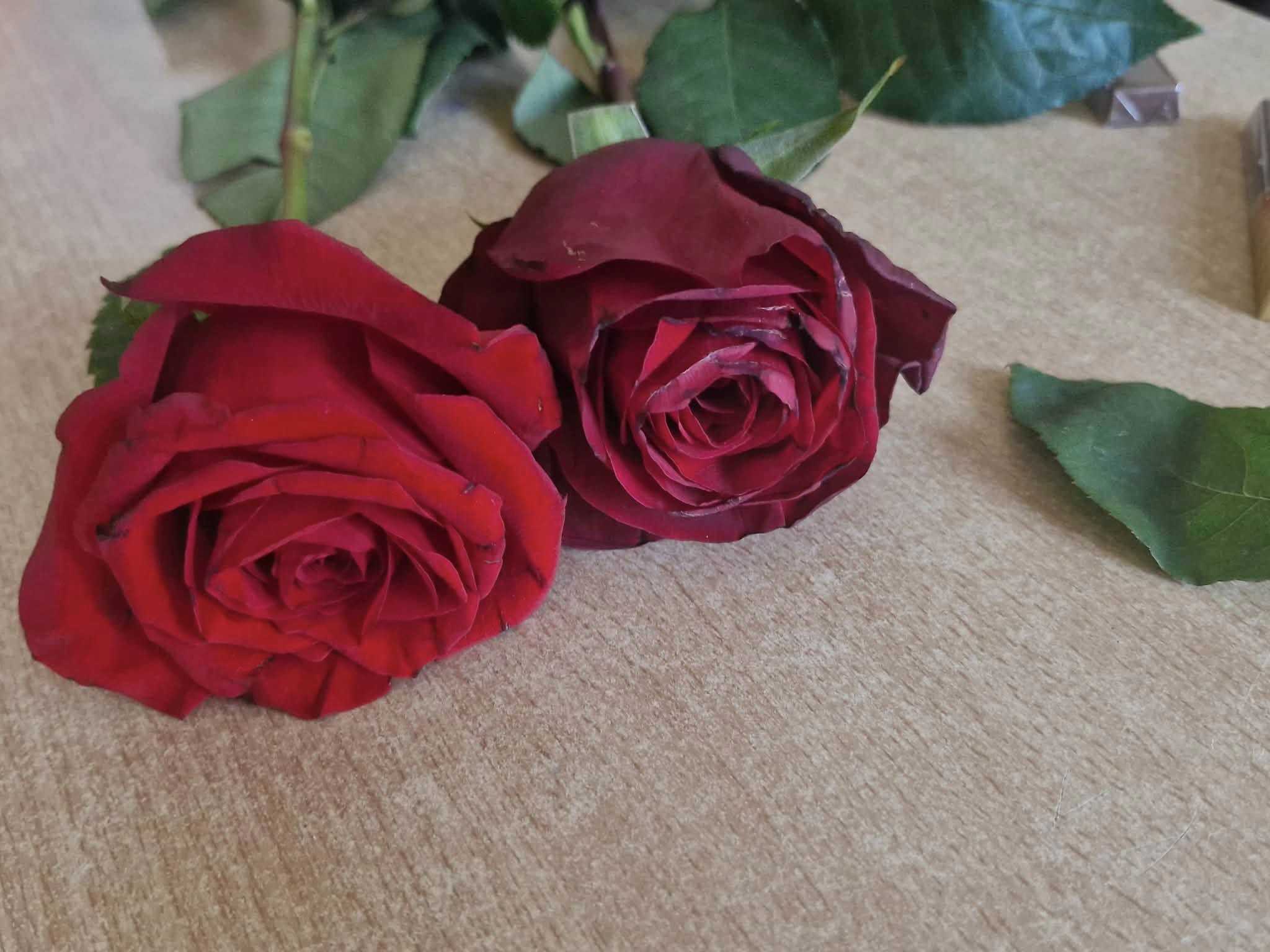 648653776_1324779756355121_7640215266531811583_n